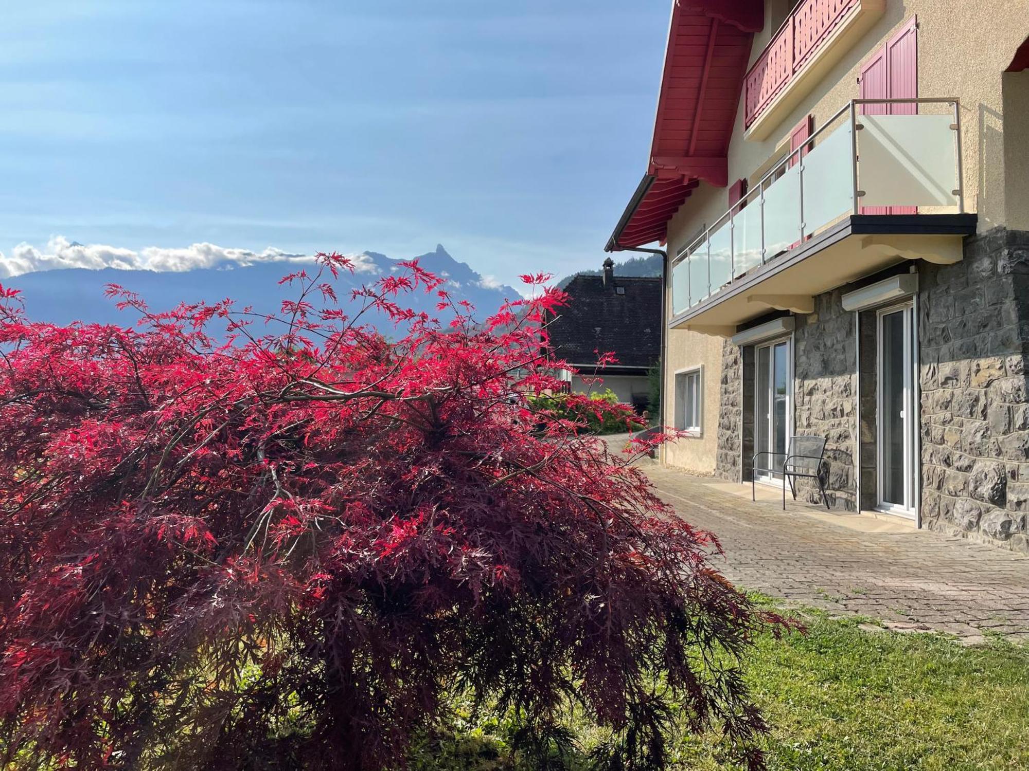 Apartamento Les Dents-Du-Midi Monthey Exterior foto
