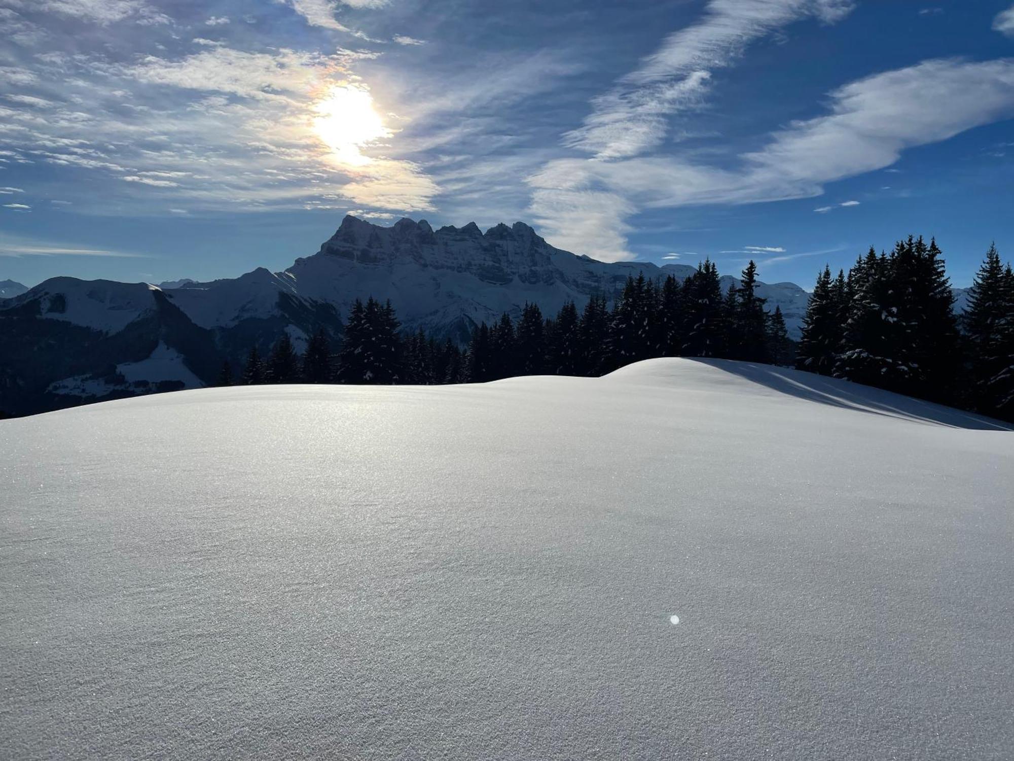 Apartamento Les Dents-Du-Midi Monthey Exterior foto